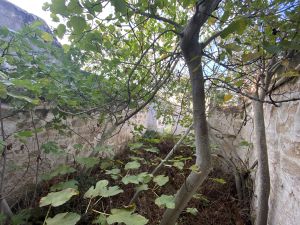 Casa en Venta en Mahón/Maó Menorca